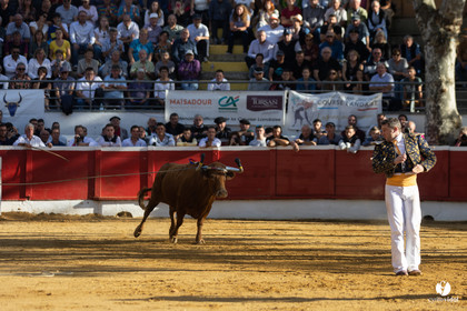 Nogaro Championnat de France de course landaise 2022