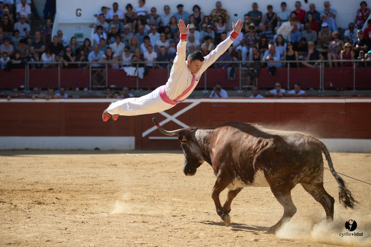 Mont-de-Marsan championnat de France de course landaise 2019