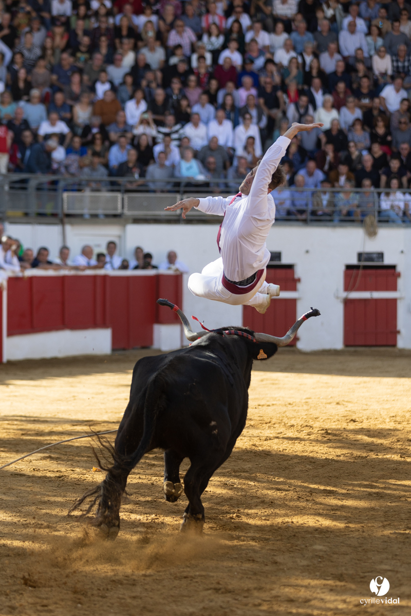 Nogaro Championnat de France de course landaise 2022