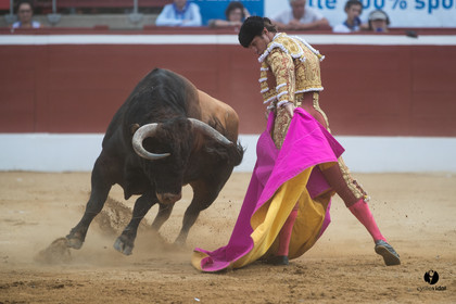 Mont-de-Marsan corrida de Garcigrande pour El Juli et Juan Bautista