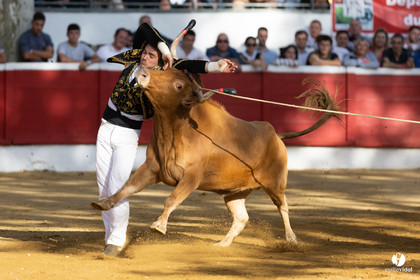 Nogaro Championnat de France de course landaise 2022
