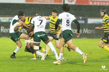 Stade Montois Rugby - Montauban