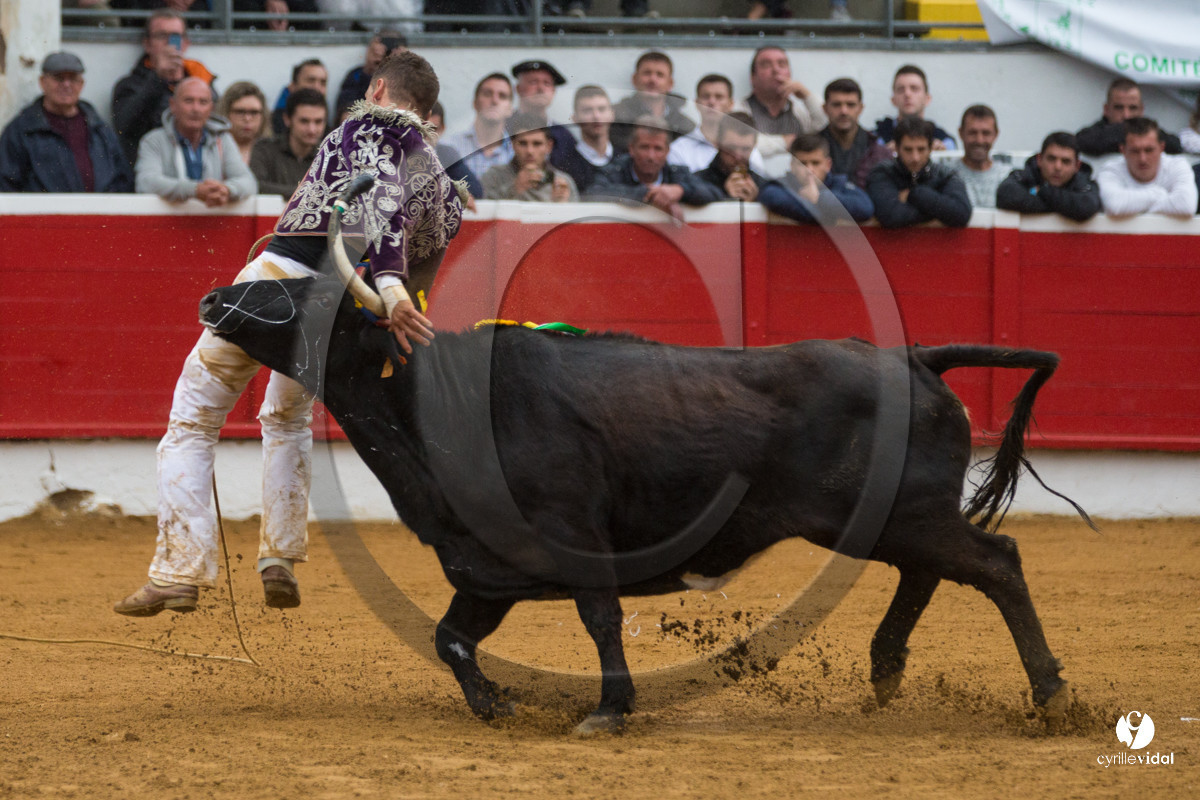 Nogaro Championnatde France de Course Landaise 2017