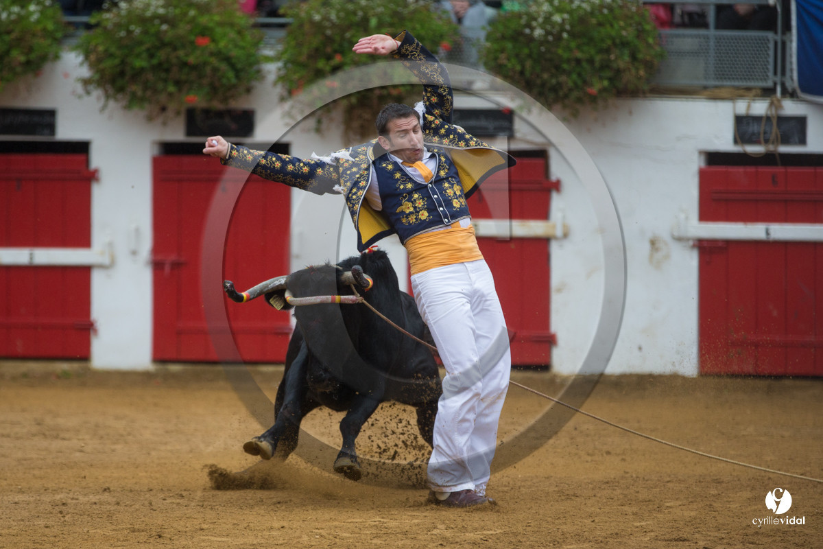 Nogaro Championnatde France de Course Landaise 2017