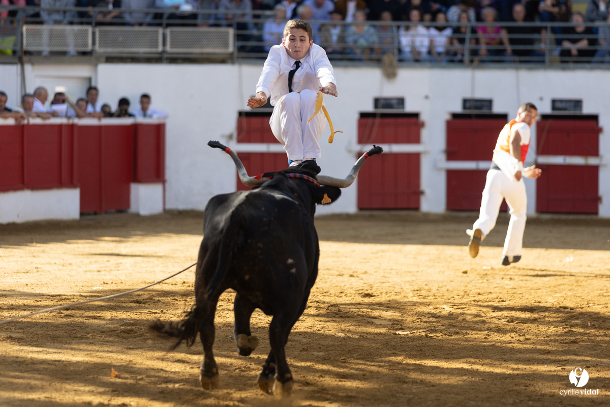 Nogaro Championnat de France de course landaise 2022