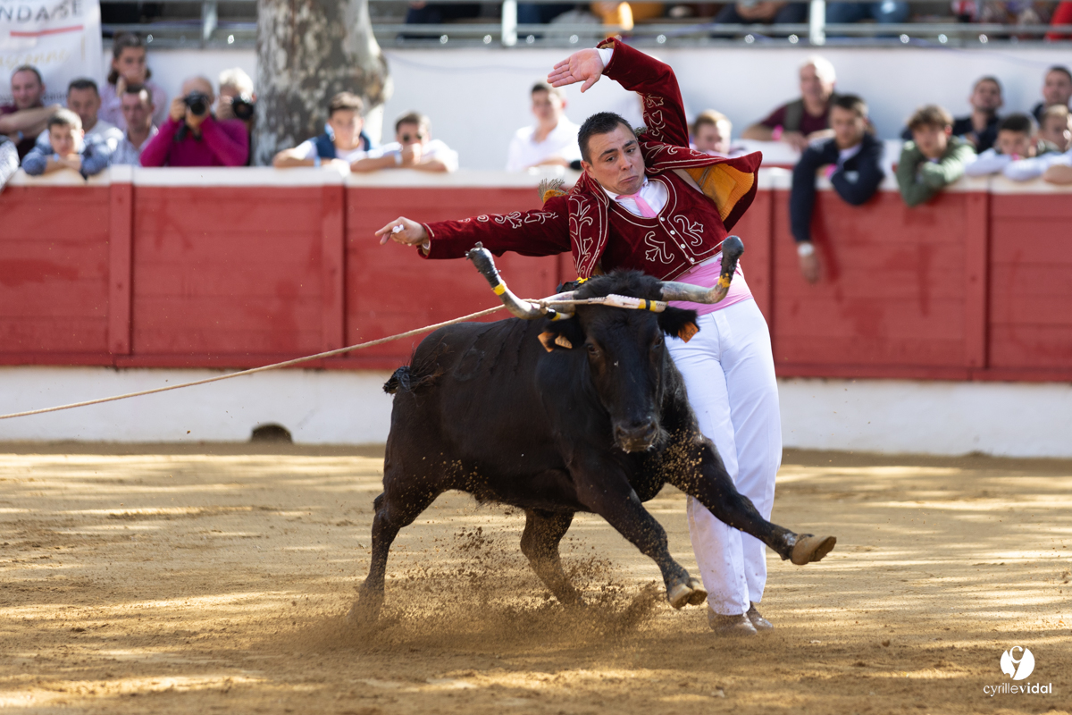 Nogaro Championnat de France de course landaise 2022