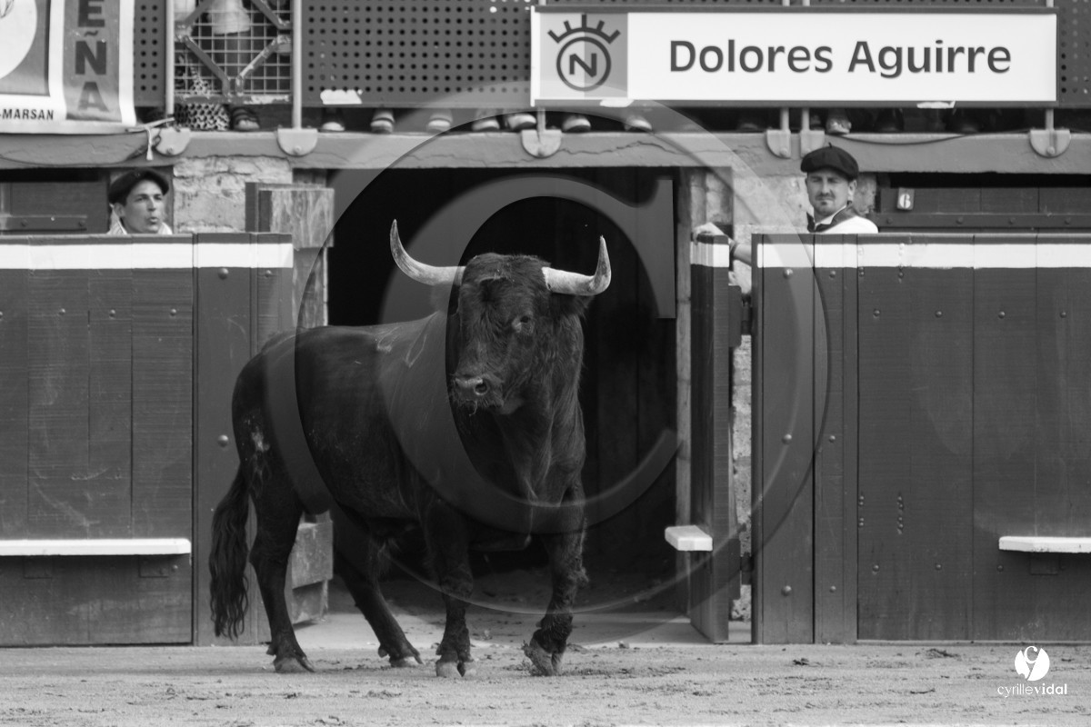 Mont-de-Marsan corrida de Dolores Aguirre pour Octavio Chacon - Pepe Moral - Juan Léal