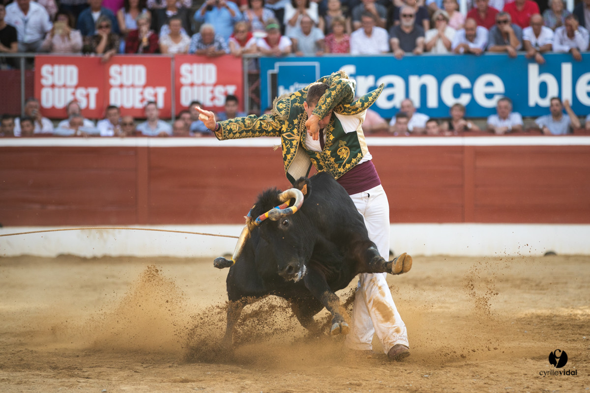 Mont-de-Marsan championnat de France de course landaise 2019