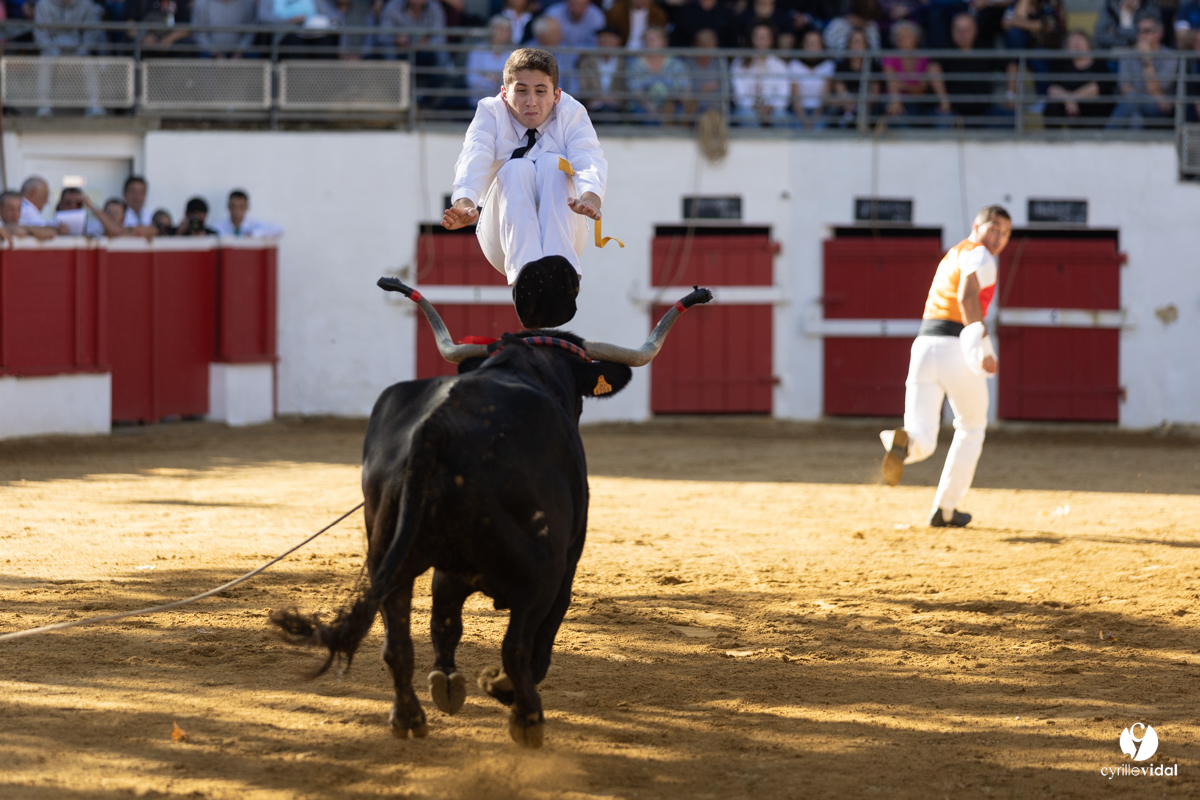 Nogaro Championnat de France de course landaise 2022