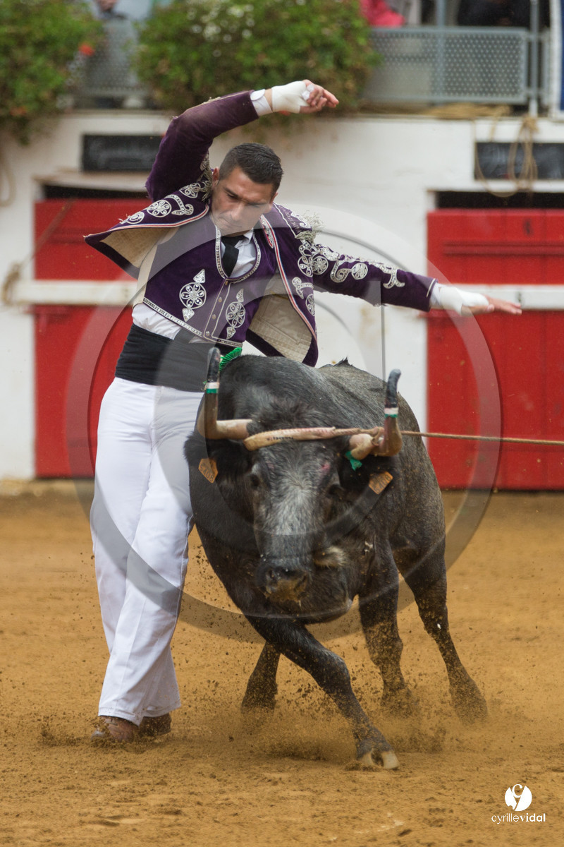 Nogaro Championnatde France de Course Landaise 2017