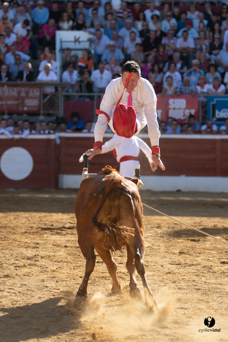 Mont-de-Marsan championnat de France de course landaise 2019
