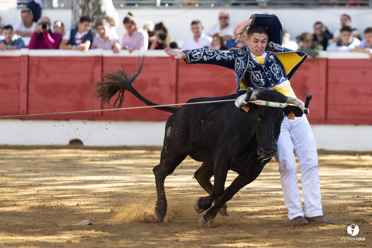 Nogaro Championnat de France de course landaise 2022