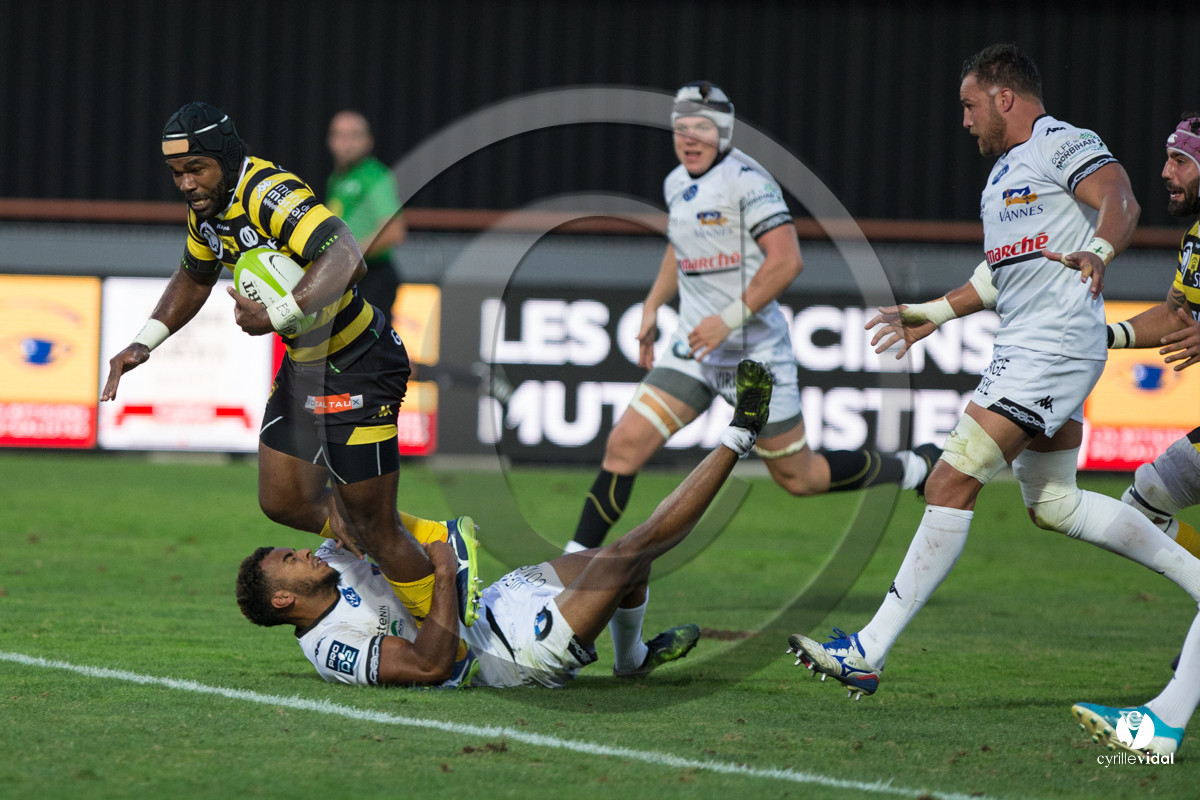 Rugby STADE MONTOIS - VANNES