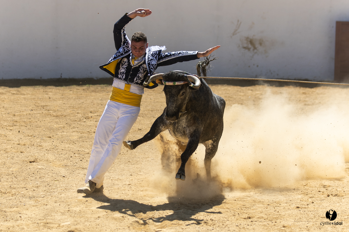 Saint-Cricq Chalosse course landaise de promotion Ganadéria Deyris Cuadrilla Jérémy Lafitte