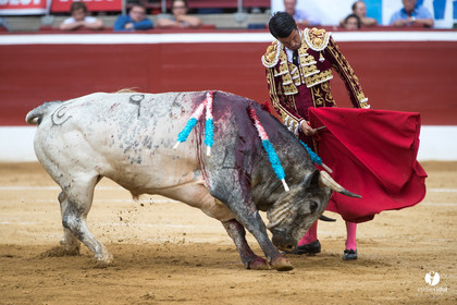 Mont-de-Marsan corrida de la Quinta pour Juan Bautista - Emilio de Justo - Thomas DUFAU
