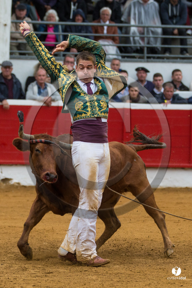 Nogaro Championnatde France de Course Landaise 2017