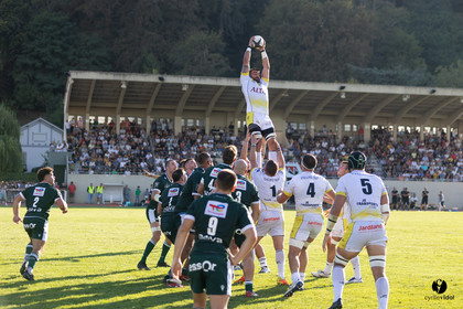 Stade Montois Rugby - Section Paloise