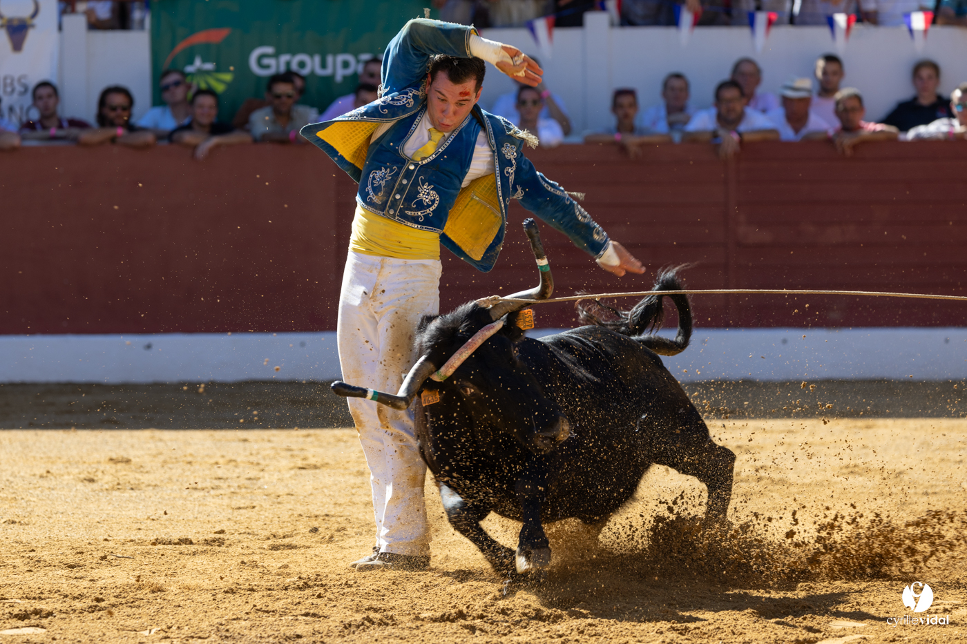 Aire-sur-l'Adour Championnat de France de course landaise 2023