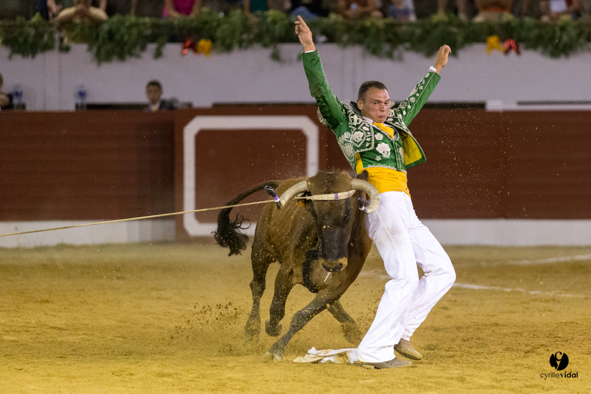 Aire sur l'Adour course landaise génération Aturine