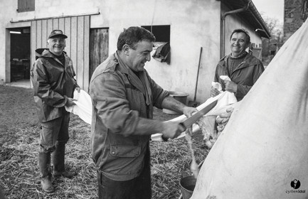 Jours de pelère