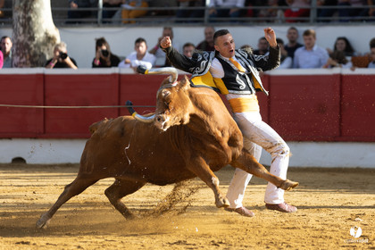 Nogaro Championnat de France de course landaise 2022