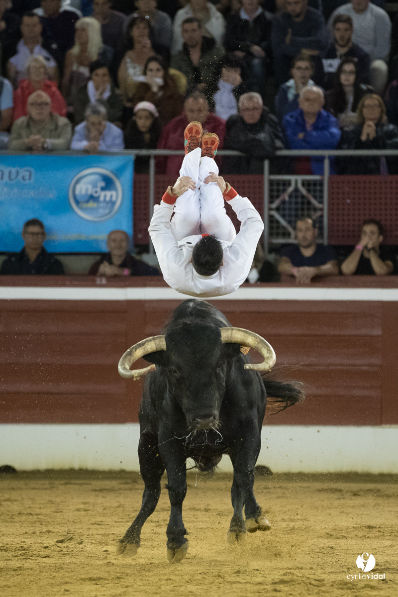 Mont-de-Marsan festival Art et Courage