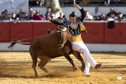 Nogaro Championnat de France de course landaise 2022