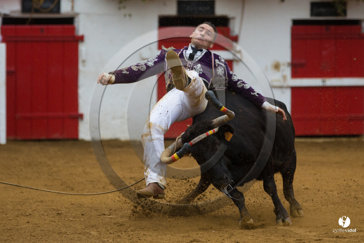 Nogaro Championnatde France de Course Landaise 2017