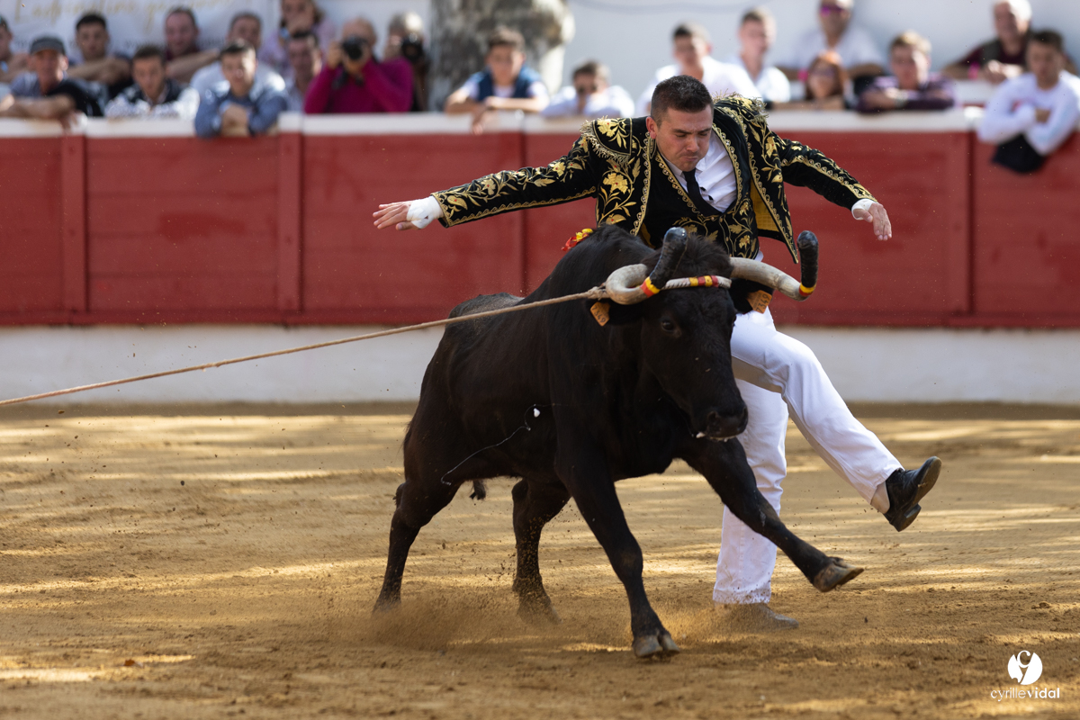 Nogaro Championnat de France de course landaise 2022