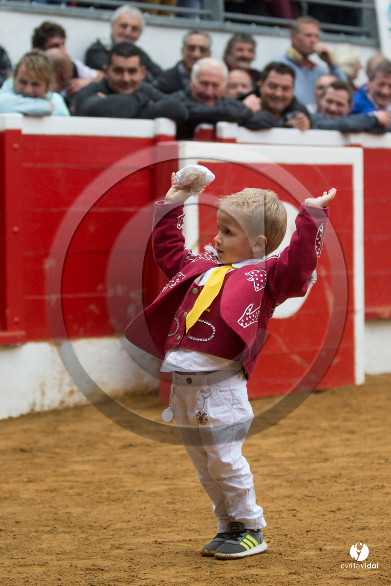 Nogaro Championnatde France de Course Landaise 2017