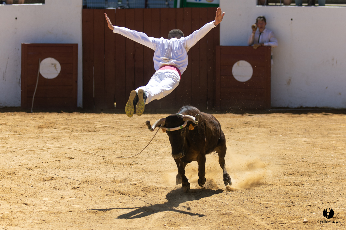 Saint-Cricq Chalosse course landaise de promotion Ganadéria Deyris Cuadrilla Jérémy Lafitte