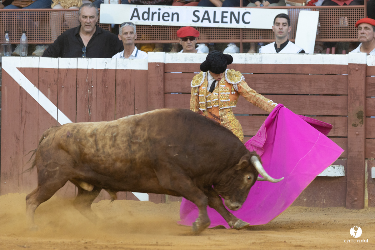 Corrida de Villeneuve-de-Marsan