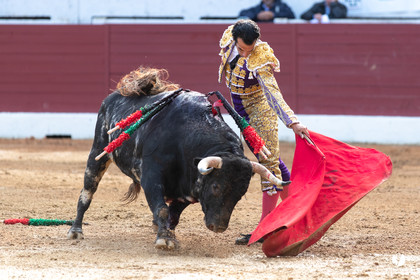 Corrida d'Aire sur l'Adour