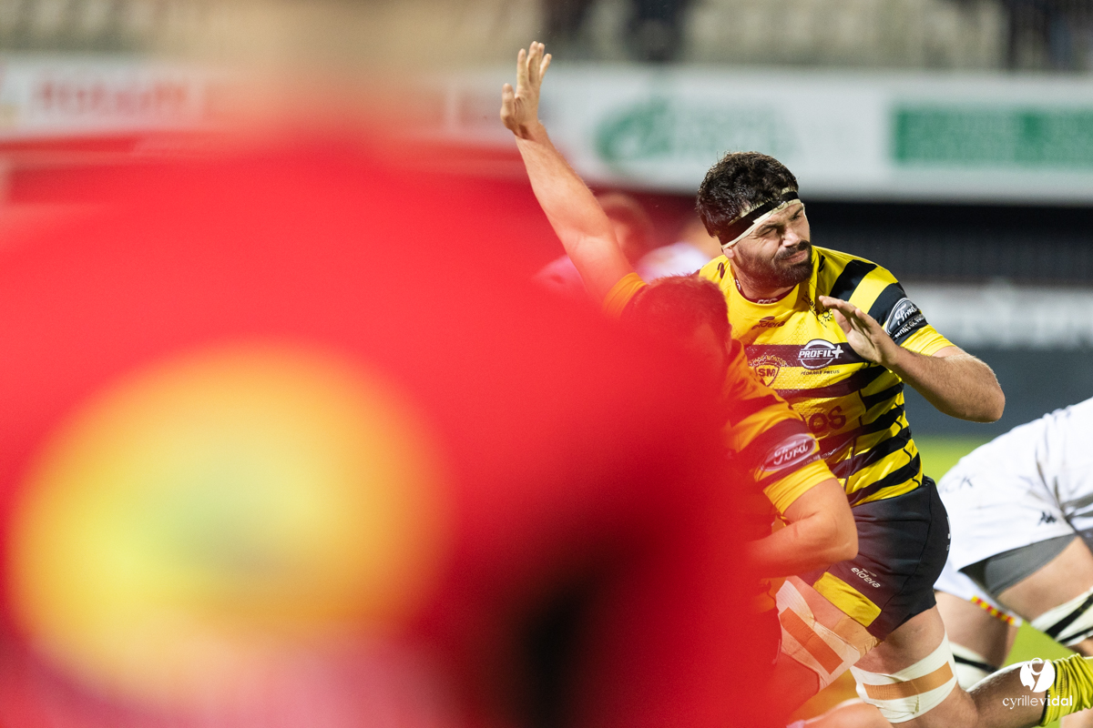 Stade Montois Rugby - Provence