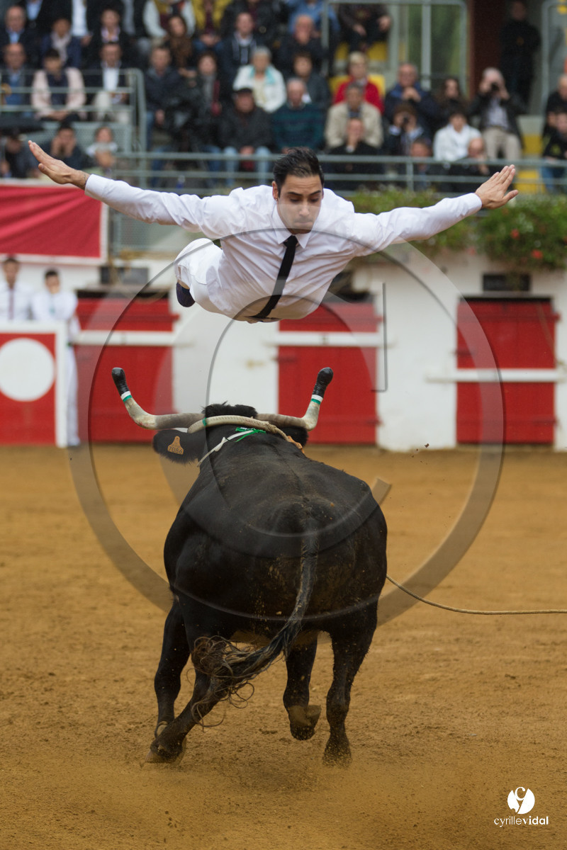 Nogaro Championnatde France de Course Landaise 2017