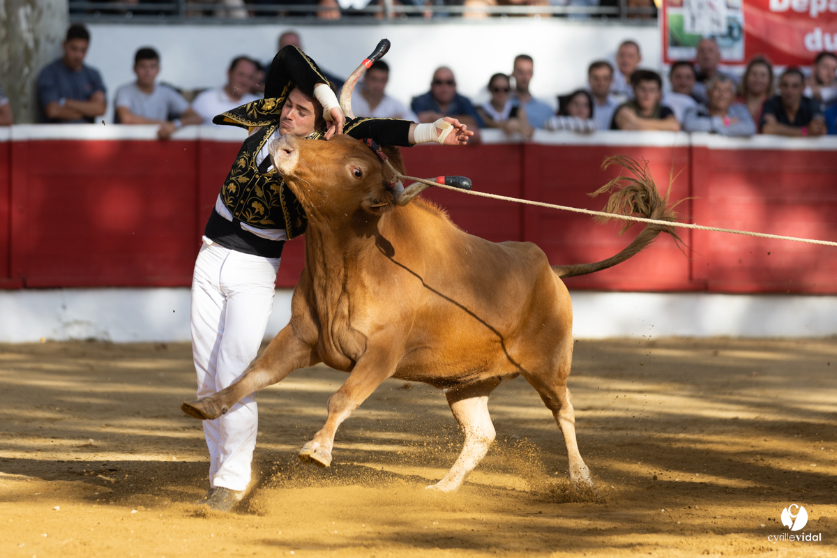 Nogaro Championnat de France de course landaise 2022