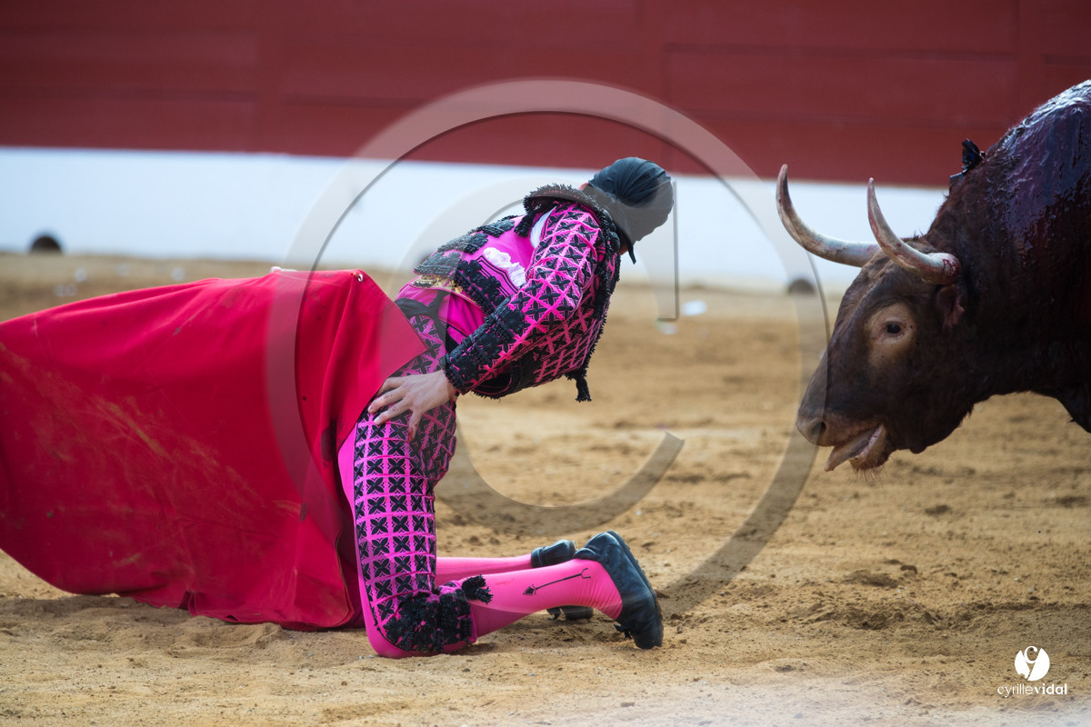 Mont-de-Marsan corrida de Jandilla pour Padilla - Talavante - Roca Rey