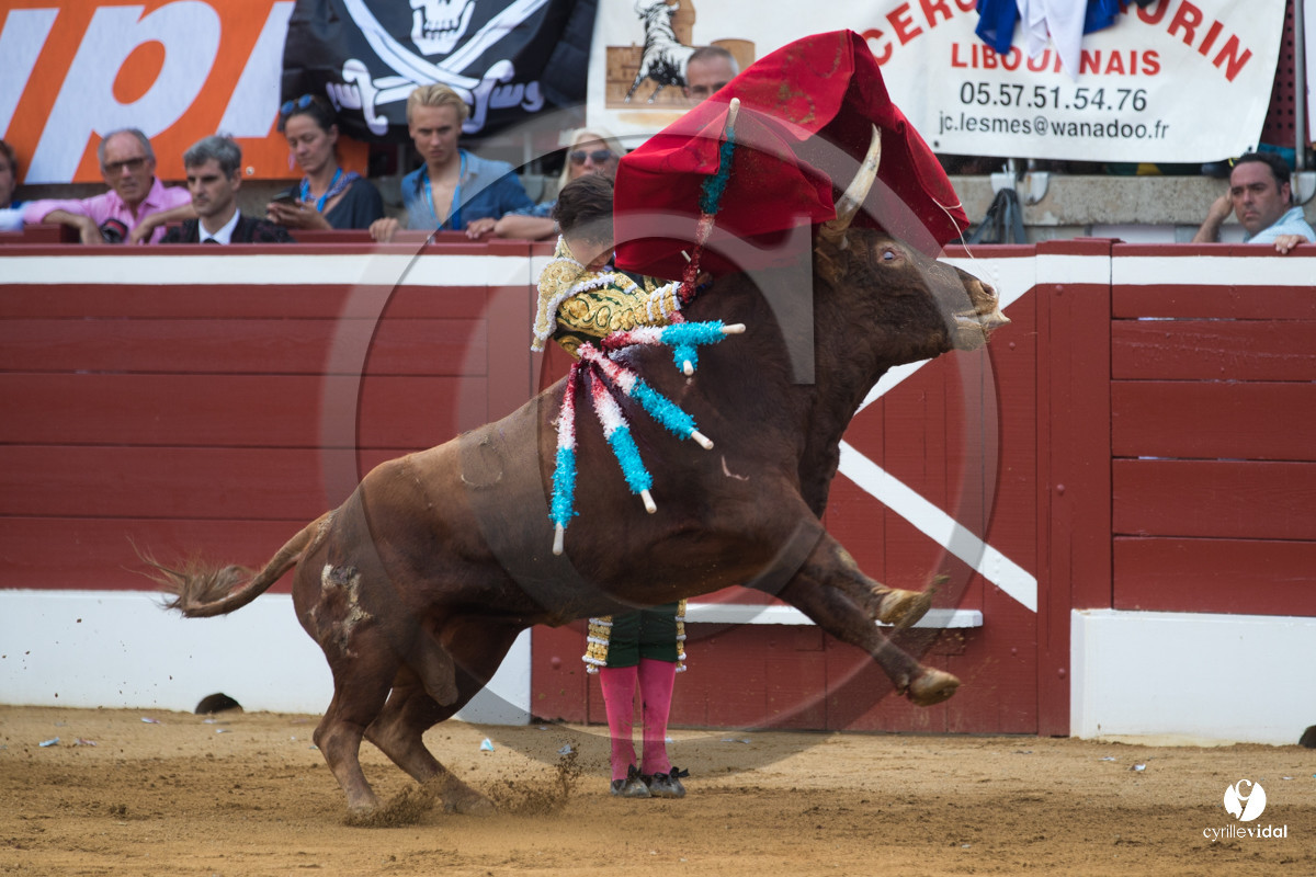 Mont-de-Marsan corrida de Jandilla pour Padilla - Talavante - Roca Rey
