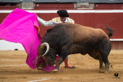 Mont-de-Marsan corrida de Garcigrande pour El Juli et Juan Bautista