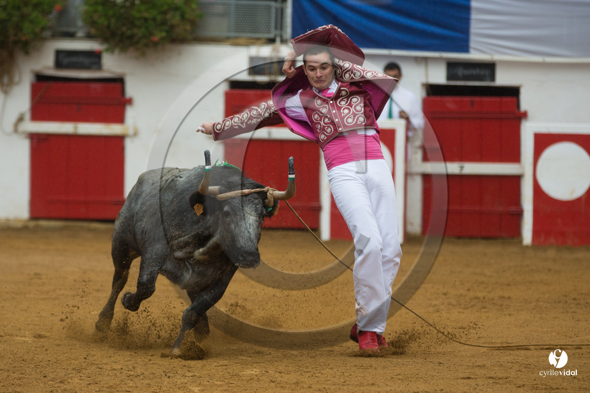 Nogaro Championnatde France de Course Landaise 2017