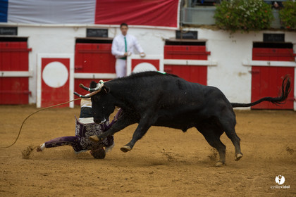Nogaro Championnatde France de Course Landaise 2017