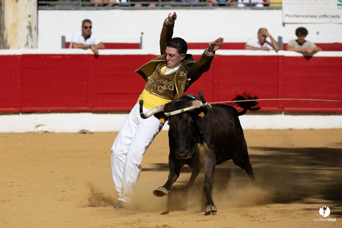 Nogaro Corne d'Or 2023