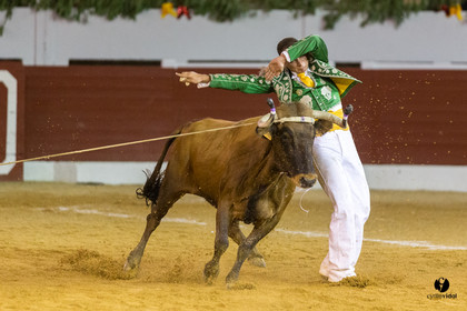 Aire sur l'Adour course landaise génération Aturine