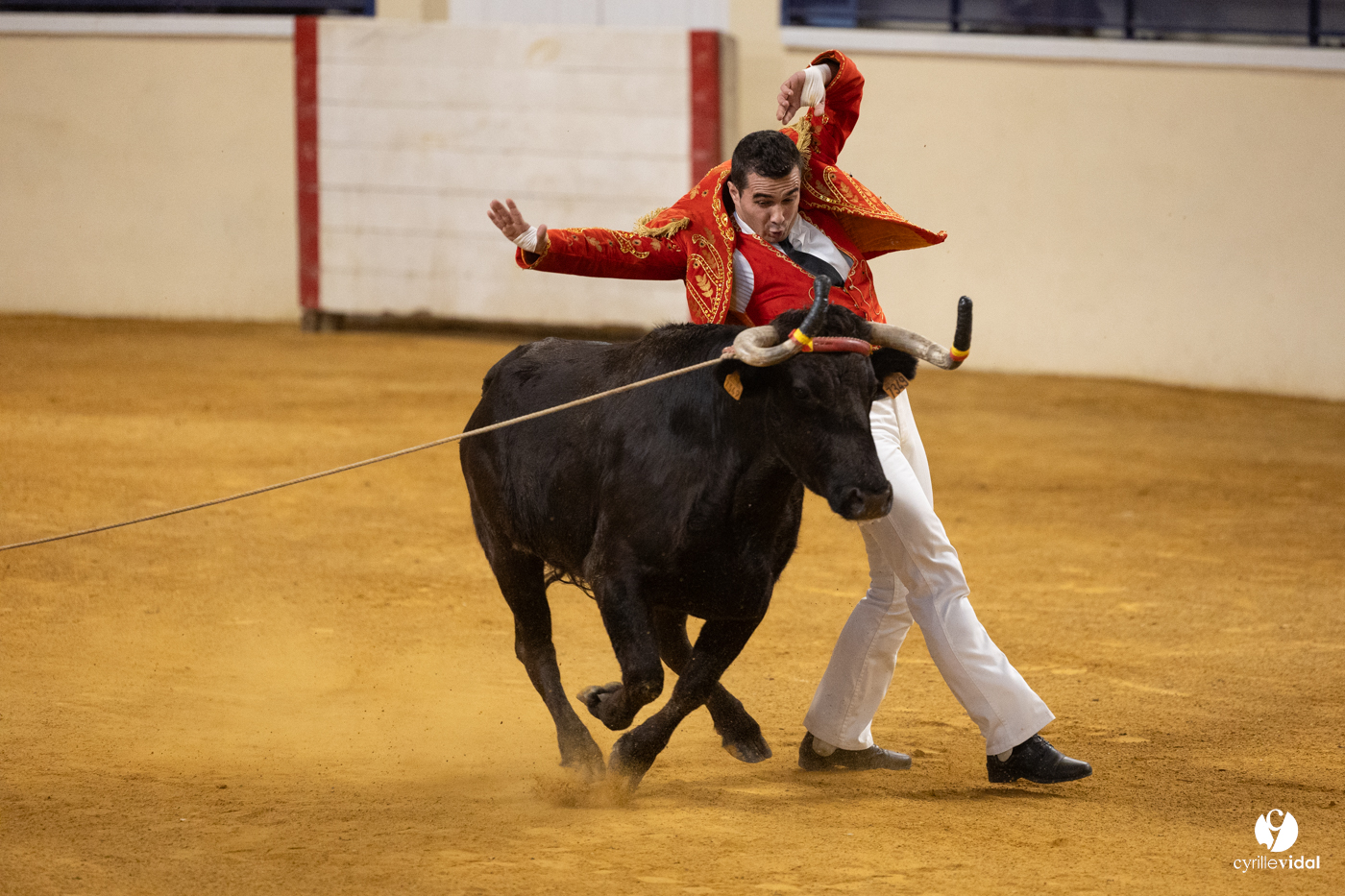 Horsarrieu course landaise du boléro d'Argent