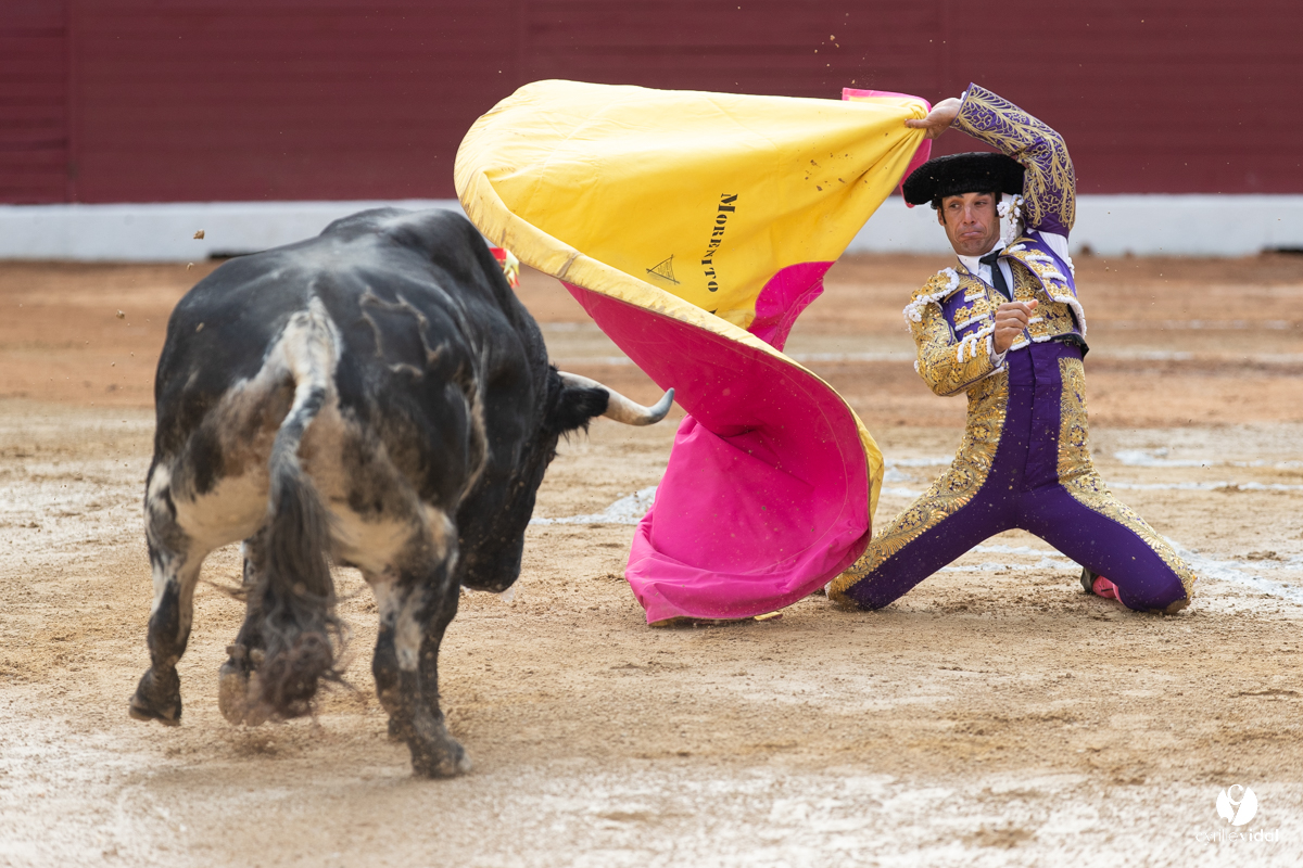 Corrida d'Aire sur l'Adour