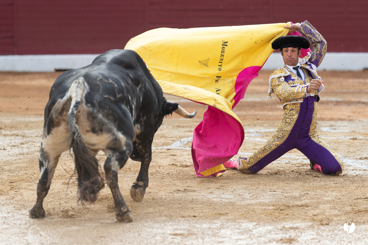 Corrida d'Aire sur l'Adour