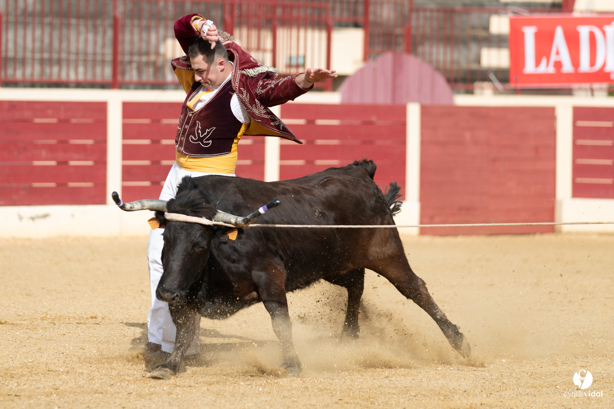 Course landaise Le Houga Ganadéria Dussau Cuadrilla Alexandre Brethes