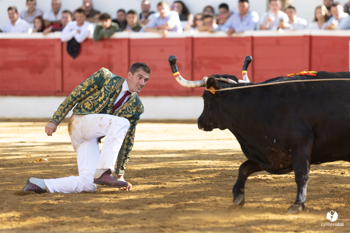 Nogaro Championnat de France de course landaise 2022