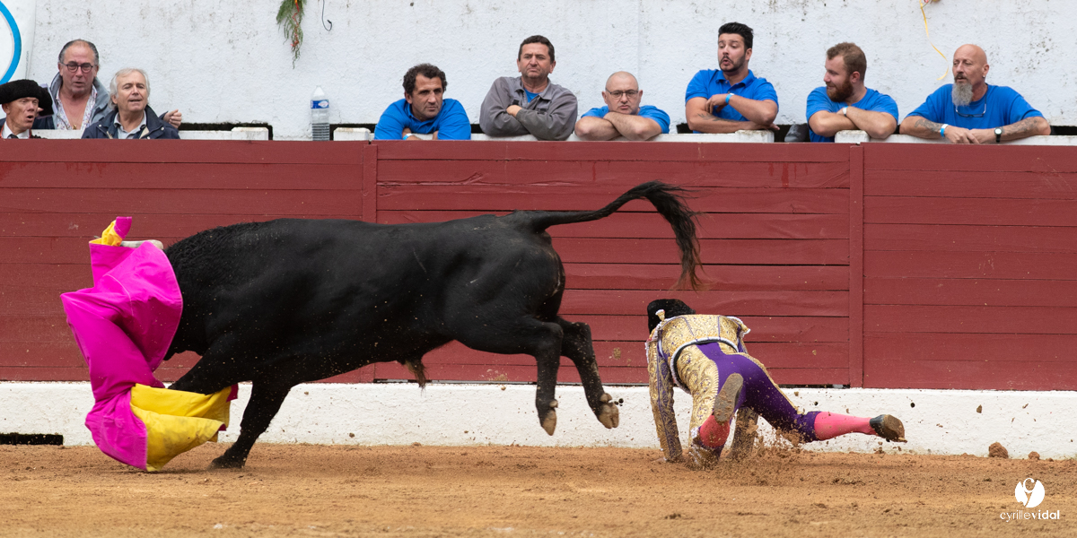 Corrida d'Aire sur l'Adour