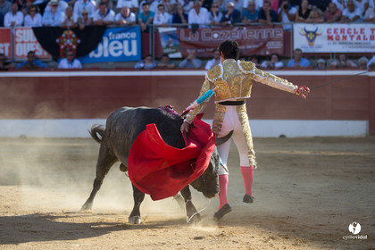 Mont-de-Marsan corrida d'Adolfo Martin